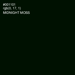 #001101 - Midnight Moss Color Image